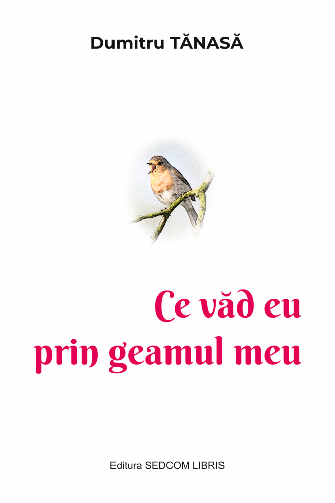 Ce vad eu prin geamul meu